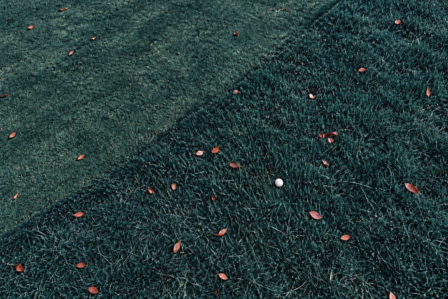 Illustrated Birdy View with blue-teal grass and a bright white ball in the identical scene