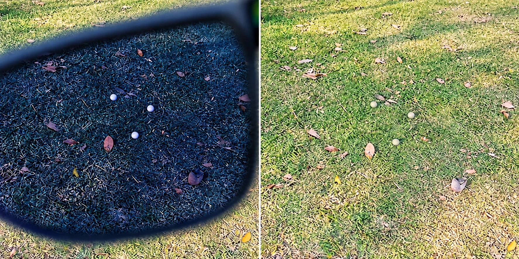Three balls in a simulated blue-lens view beside the same scene in natural grass