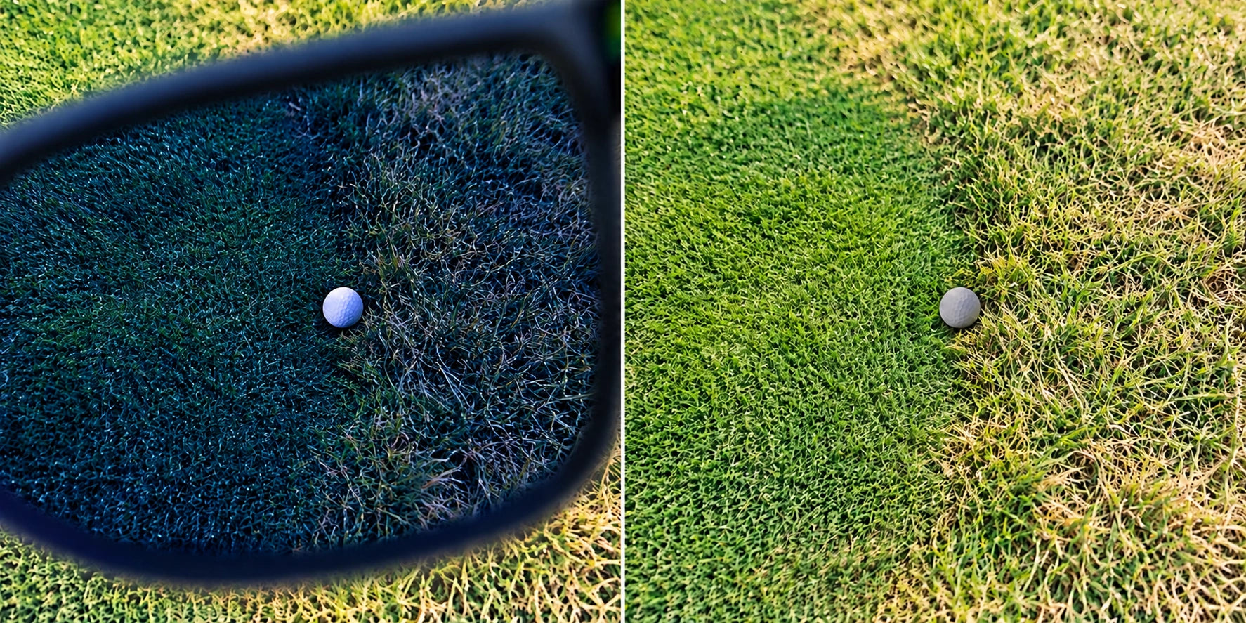 A ball at the fairway edge in illustrated blue-lens and natural views