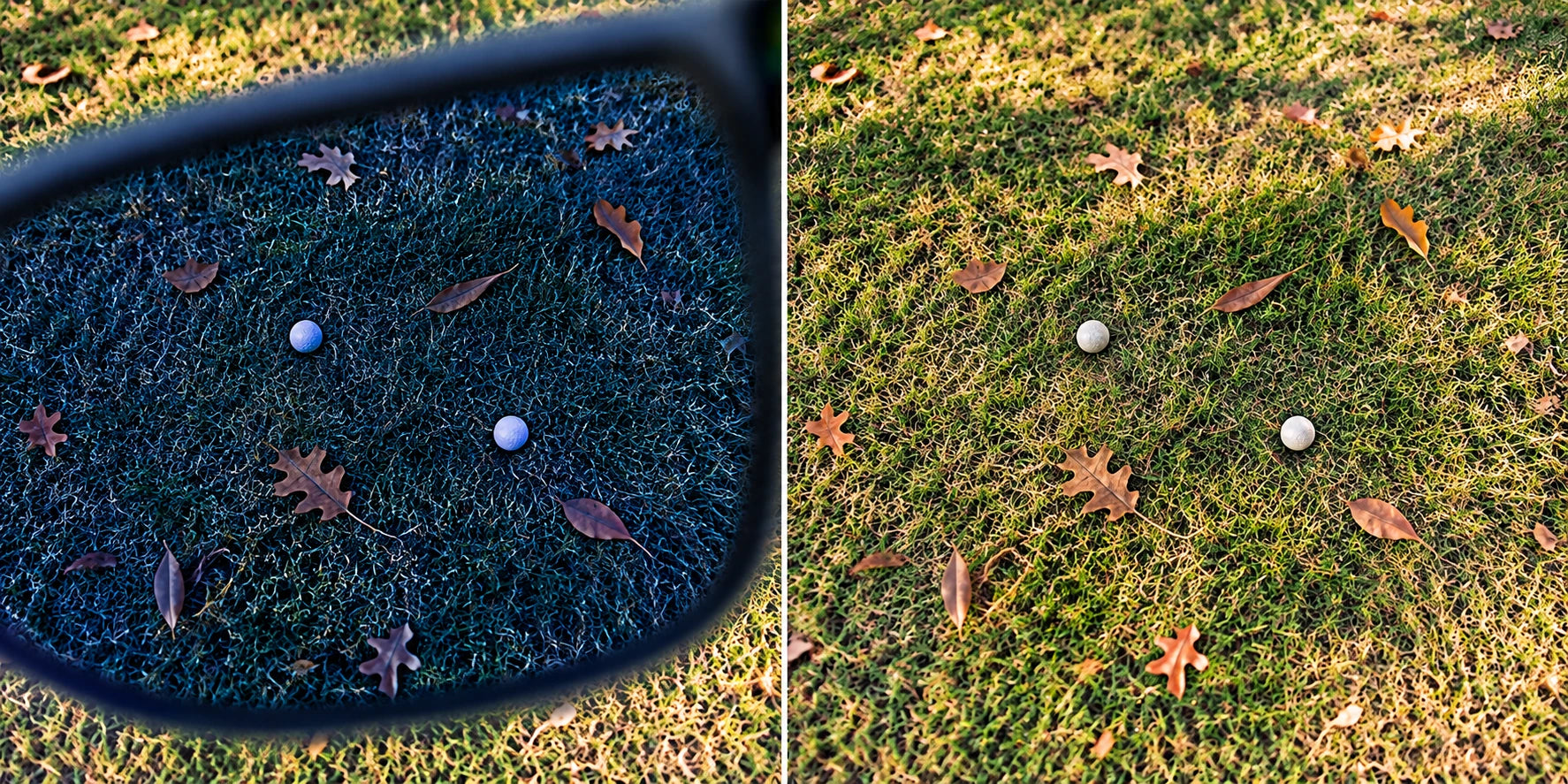 Two balls among leaves in illustrated blue-lens and natural views