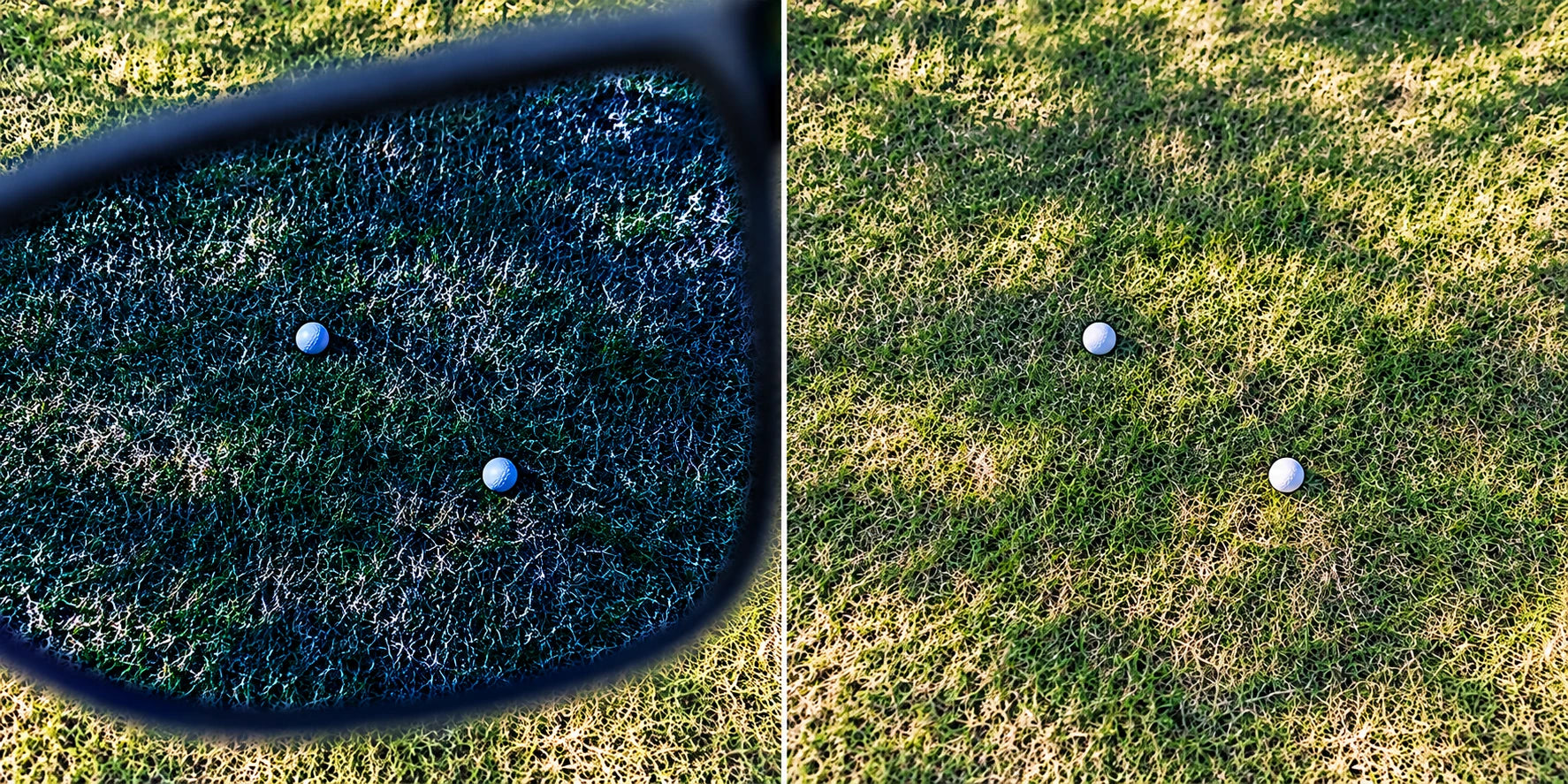Two balls in patchy rough in illustrated blue-lens and natural views